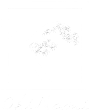 Logo cliente